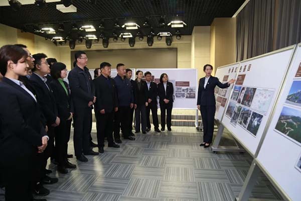 中国尊龙集团