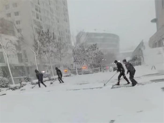 中国尊龙集团