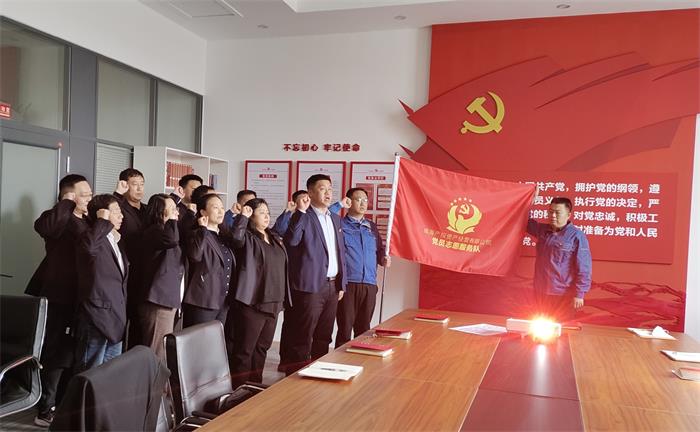 中国尊龙集团