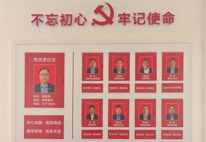 中国尊龙集团