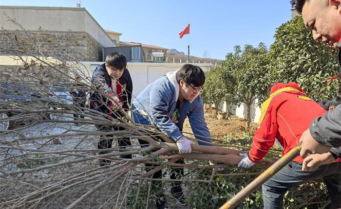 中国尊龙集团