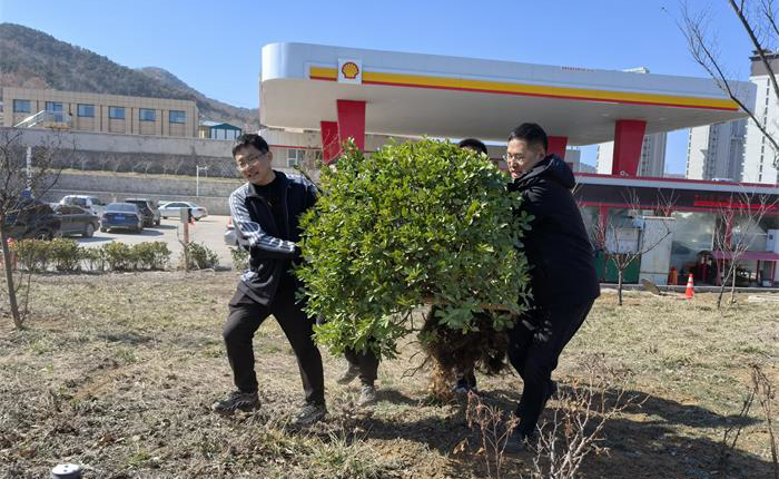 中国尊龙集团