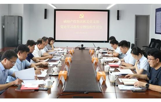 威海产投集团党委组织召开党史学习教育专题组织生涯会